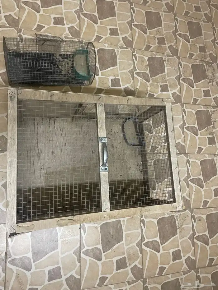 للبيع شبوك نظيفه 2