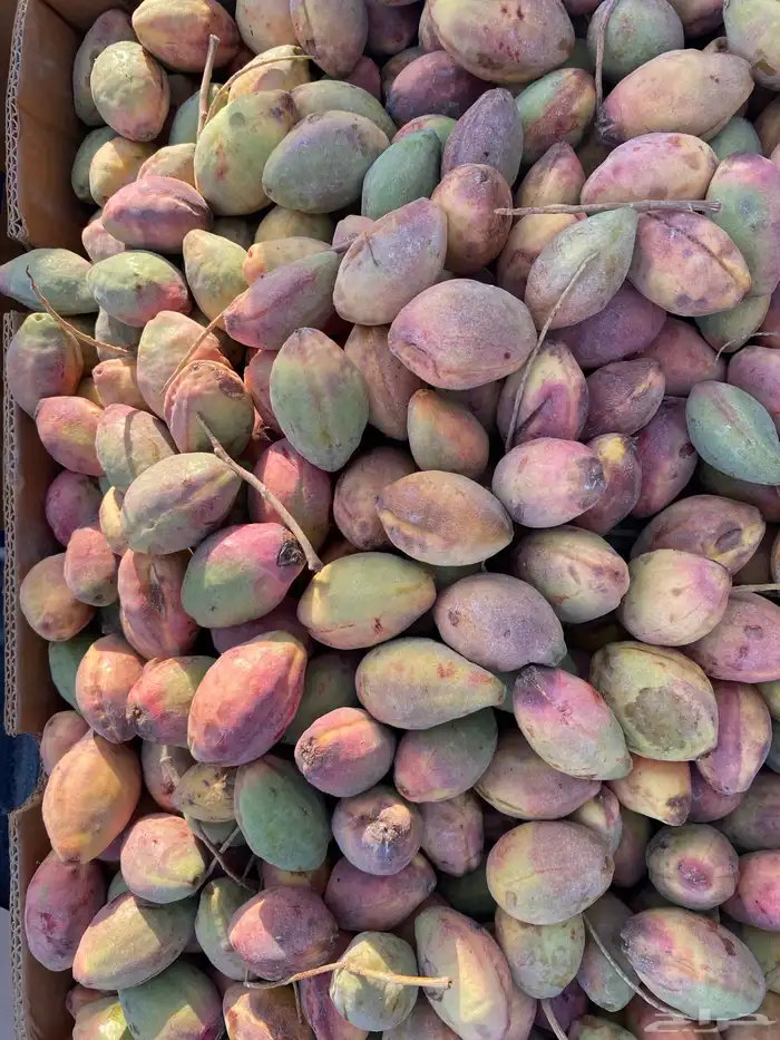 لوز قطيفي ( اصفر و احمر ) بالجملة 3