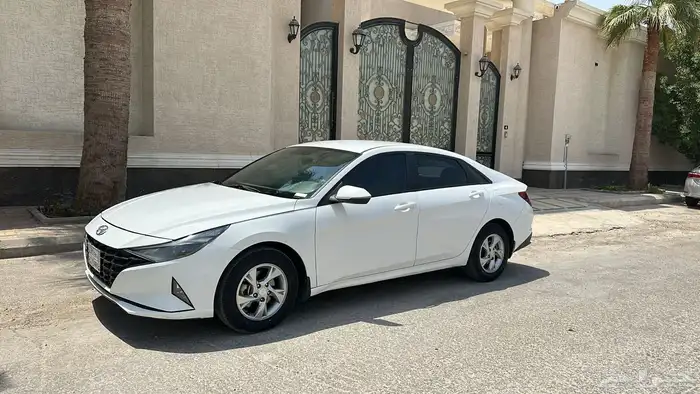 النتراء 0