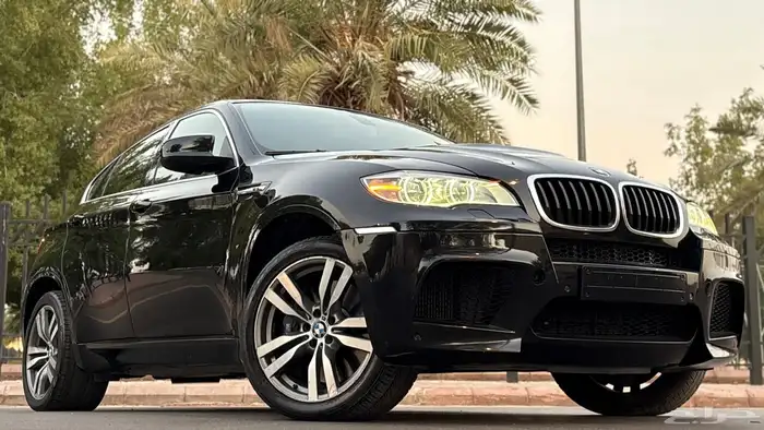 بي ام دبليو X6 2014 ( Mpower ممشى قليل ) 10