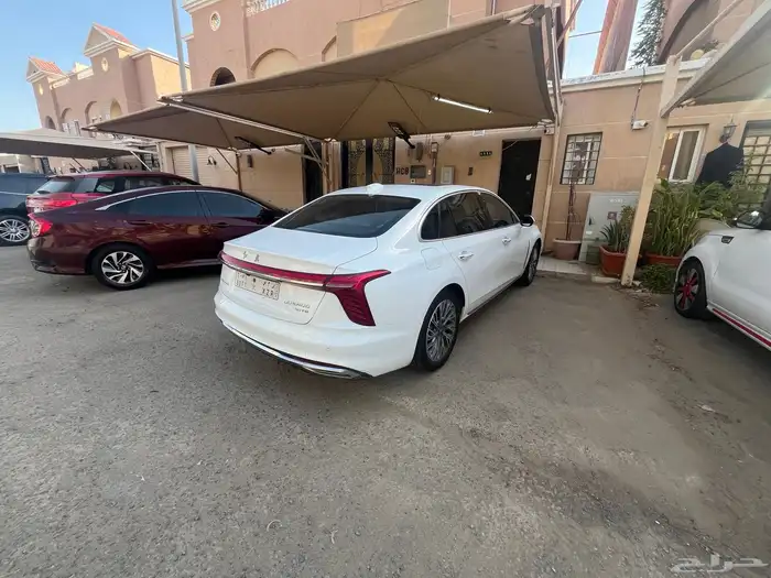 هونشي اوسادو 2024 11