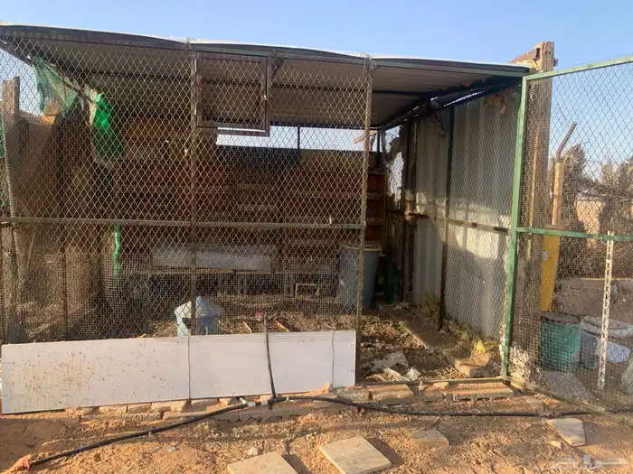 صندقة 1