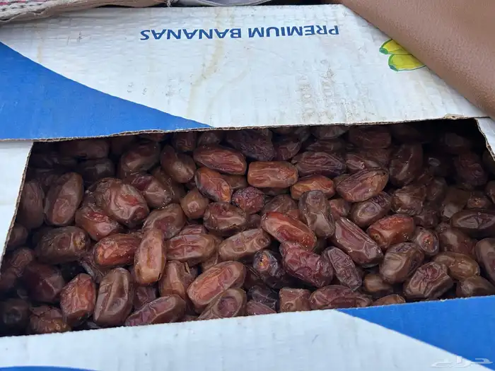 تمر للبيع 4