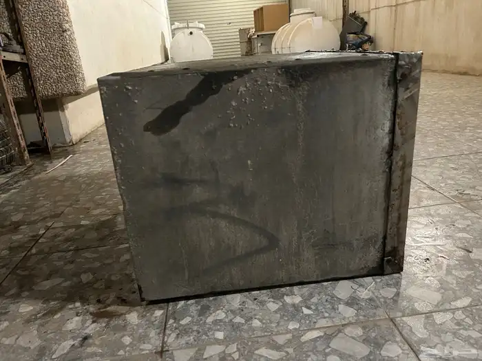 دينا ايسوزو 5