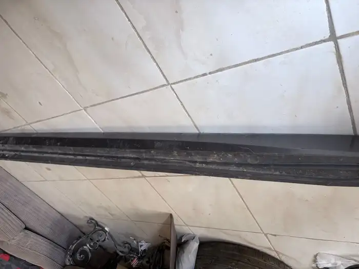 سمكه كامري سمكات 0
