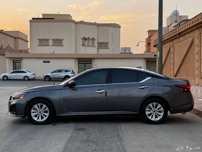 التيماء 2024 ستاندر 7