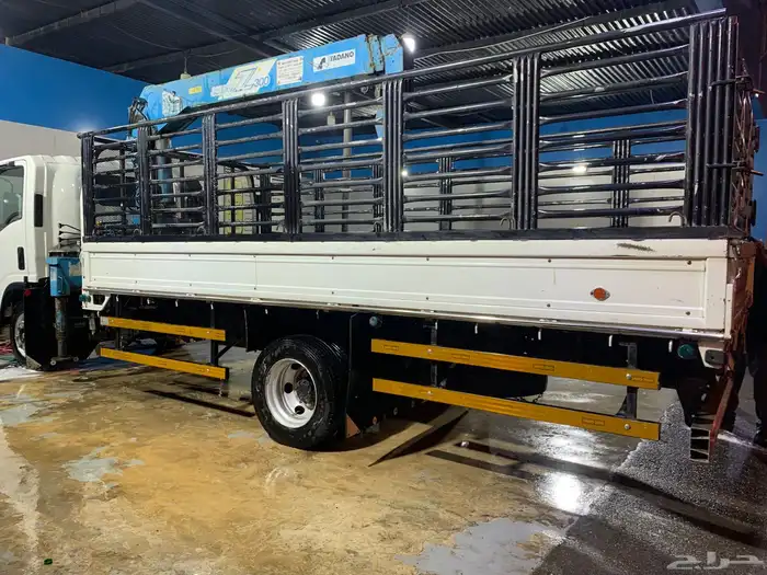 دينا ونش دينه كرين 0