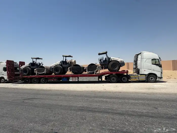 لوبد في القصيم المجمعه 1