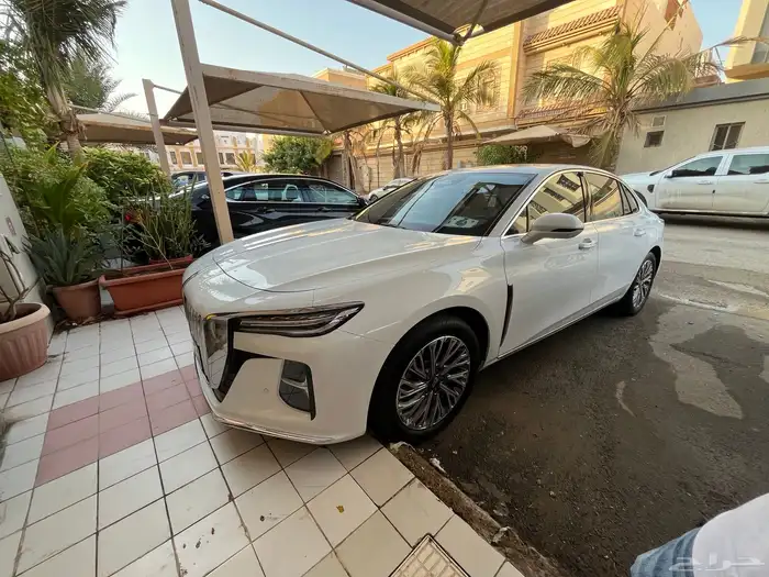 هونشي اوسادو 2024 3