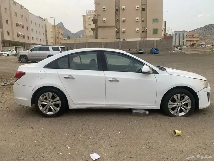 كروز للبيع 6