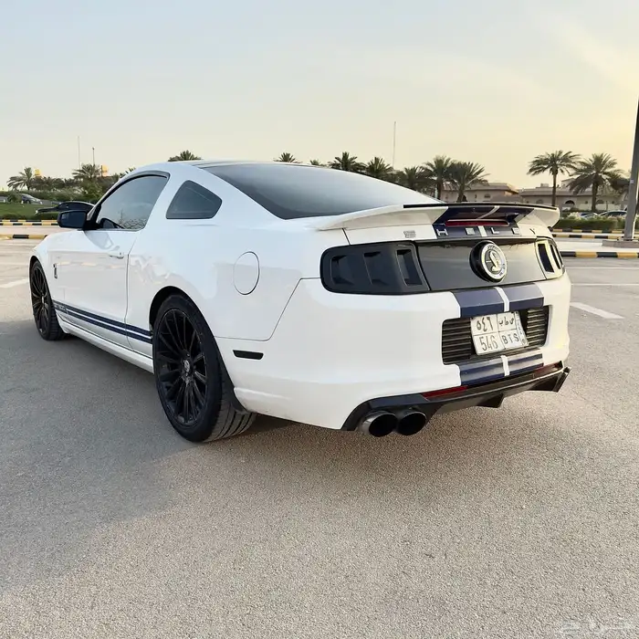 موستنق شيلبي جي تي 500 Shelby GT 500 2013 5