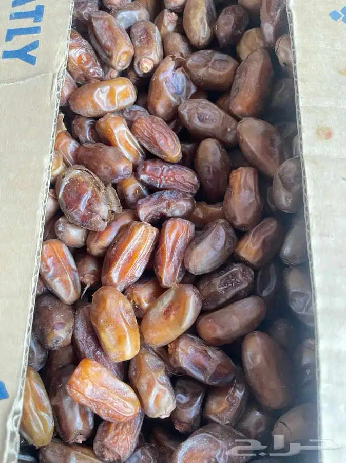 تمر للبيع مزرعه وحده 1