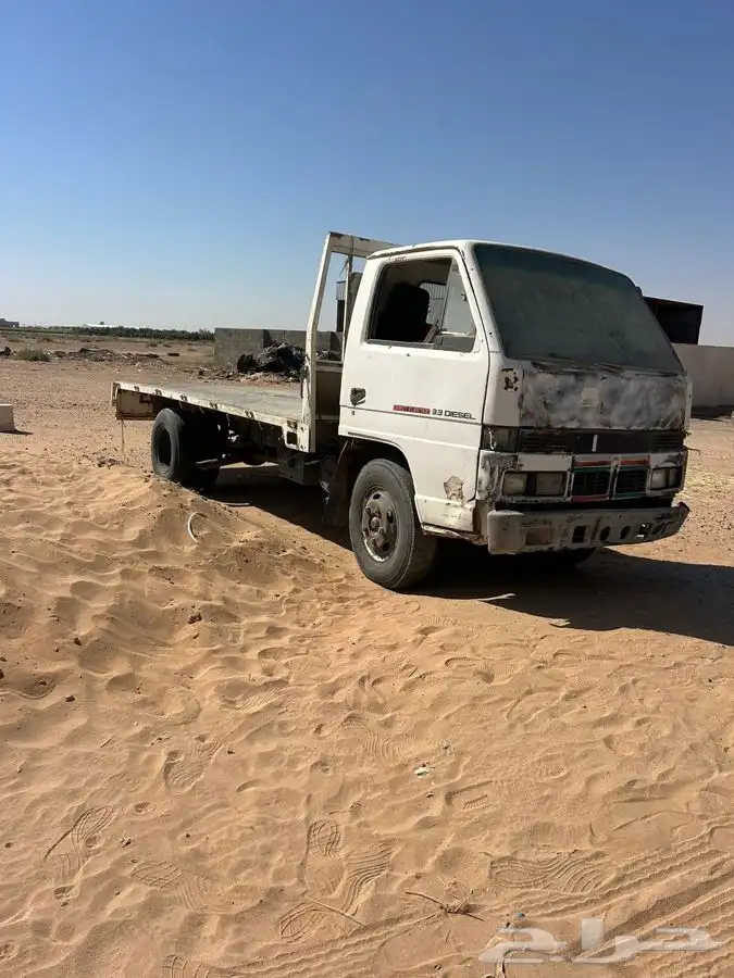 دينا مسقطه الدوادمي 1