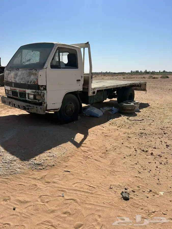 دينا مسقطه الدوادمي 0