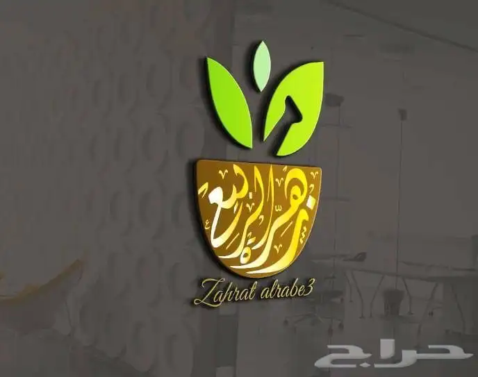 مصمم لوقو جرافيك بروفايل منيو ثري دي 2