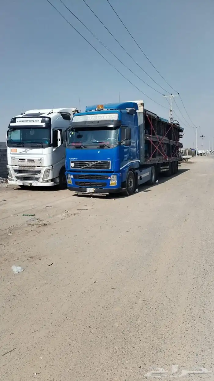 راس فولفو للبيع 0