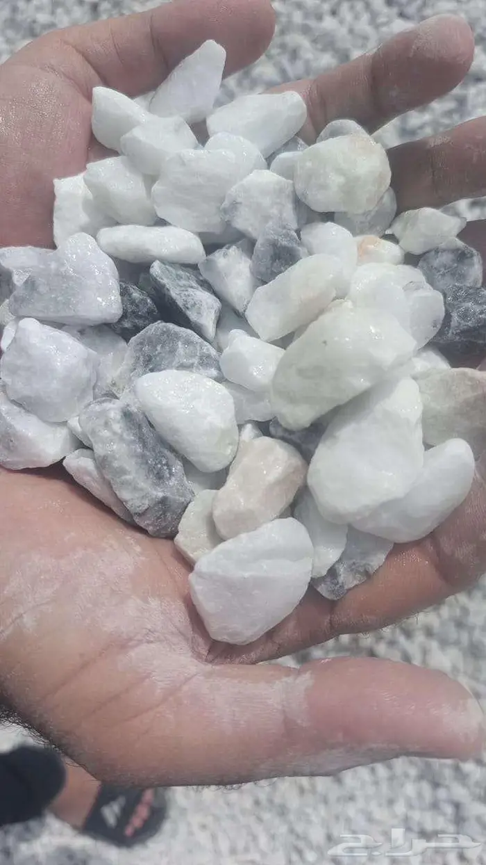 بحص  خرسانه ابيض كسر رخام 1
