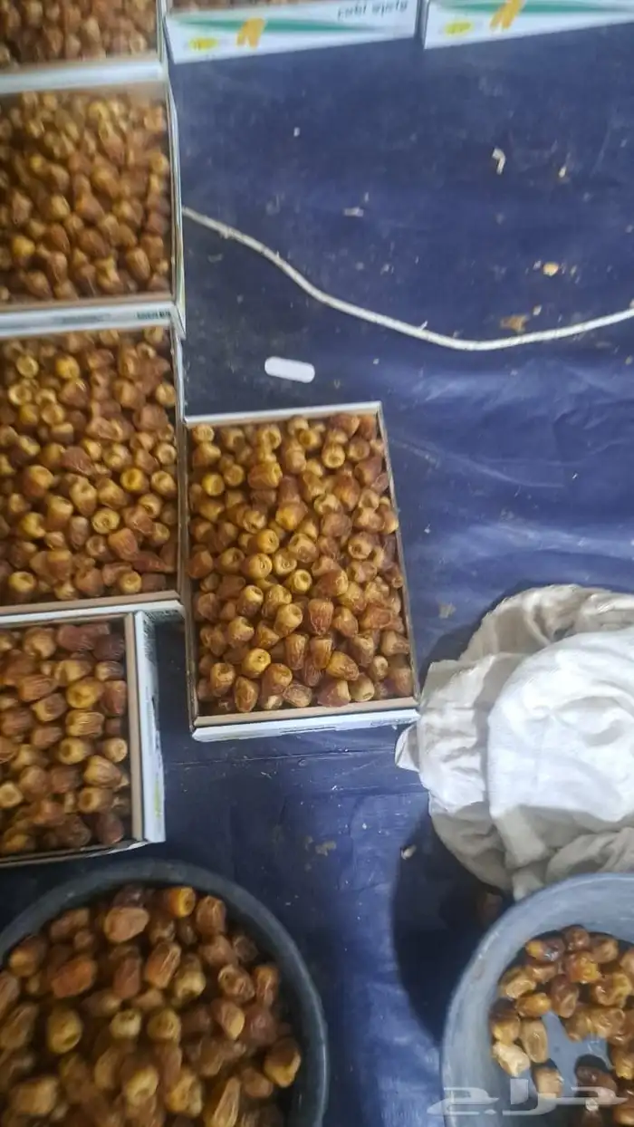 تمر جالكسي فاخر مطوق وكرتون حوالي5 كيلو 1