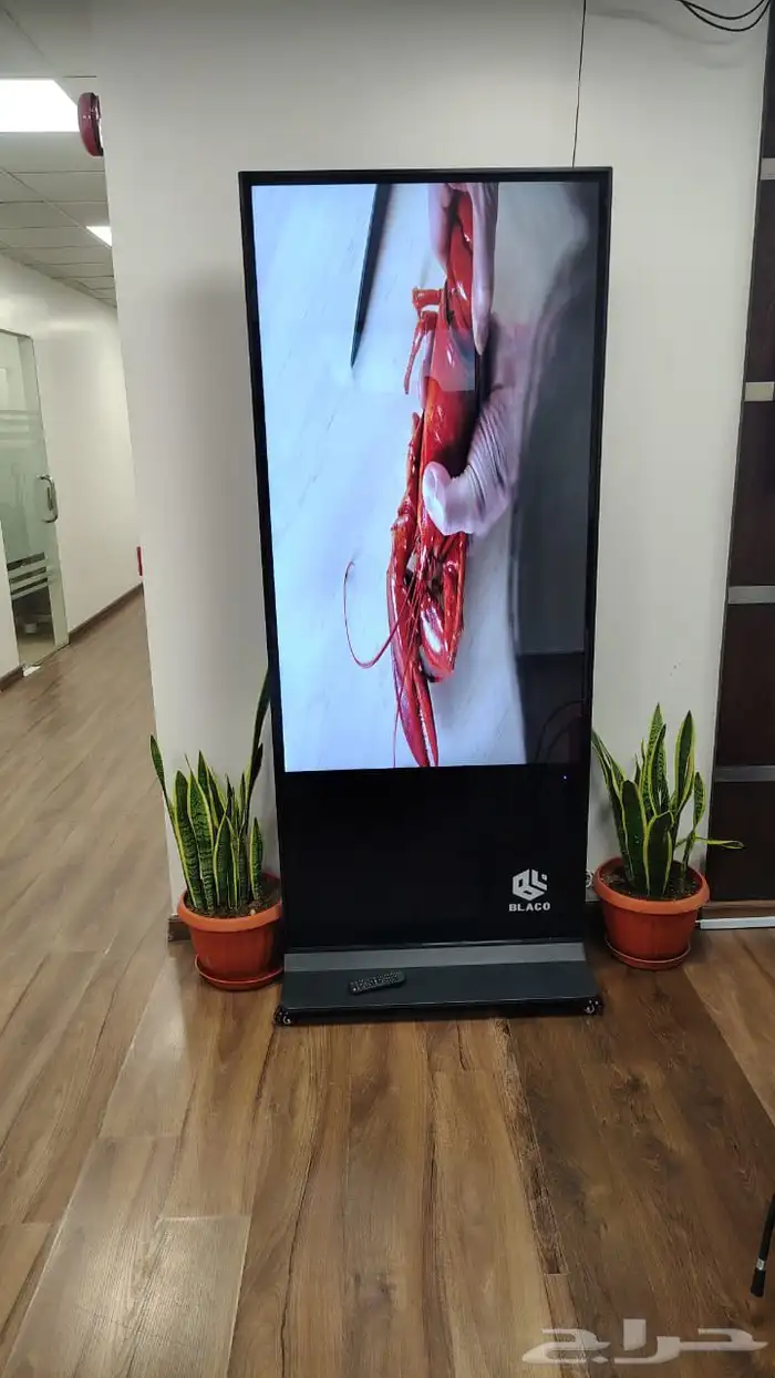 شاشة عرض تفاعليه باللمس 4k ستاند تحكم عن بعض 2