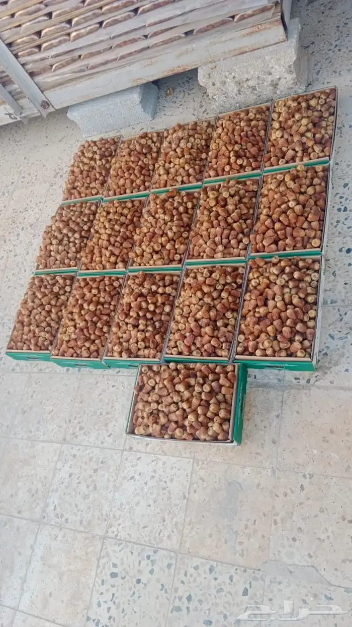 تمر جالكسي فاخر مطوق وكرتون حوالي5 كيلو 0