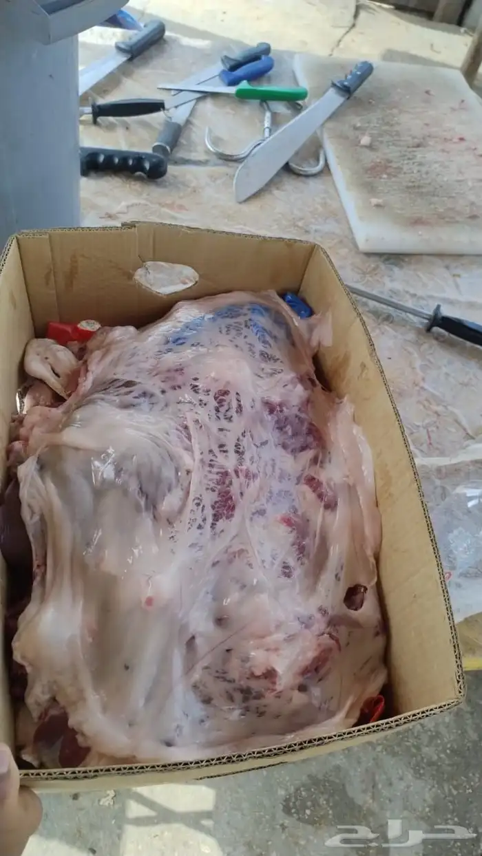 ذبايح 1