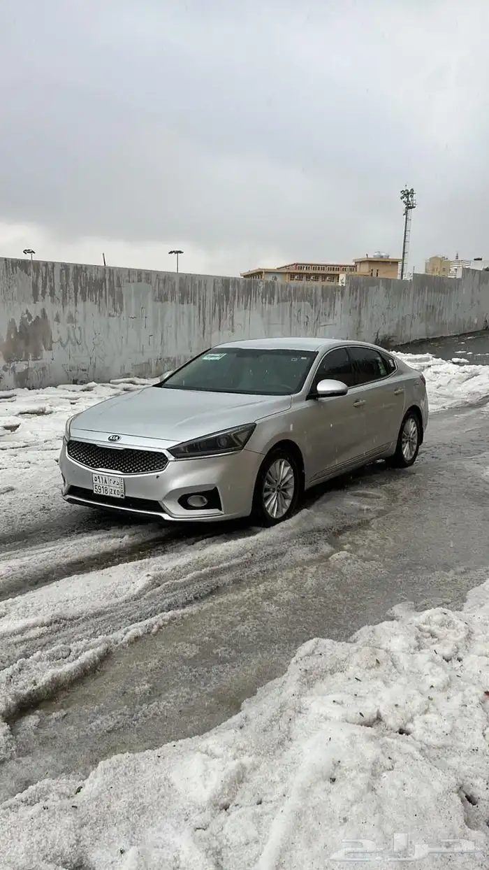 كادينزا 2019 استاندر 5