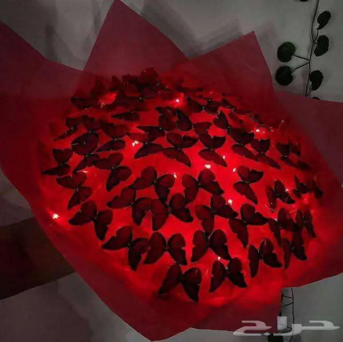 لمسة عمر للزهور Omar s touche for flowers 14