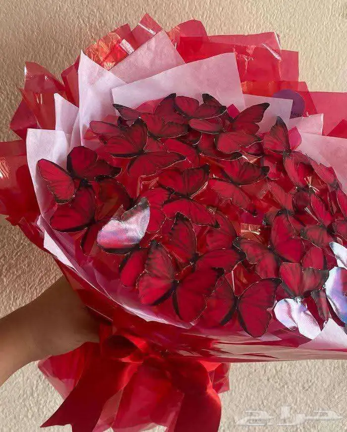 لمسة عمر للزهور  Omar s touch for flowers 10
