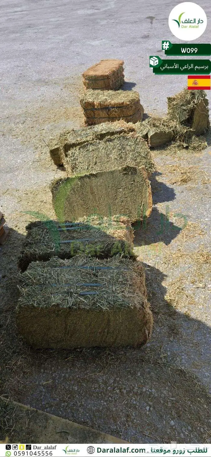 دار العلف الراعي اسباني مستورد 1