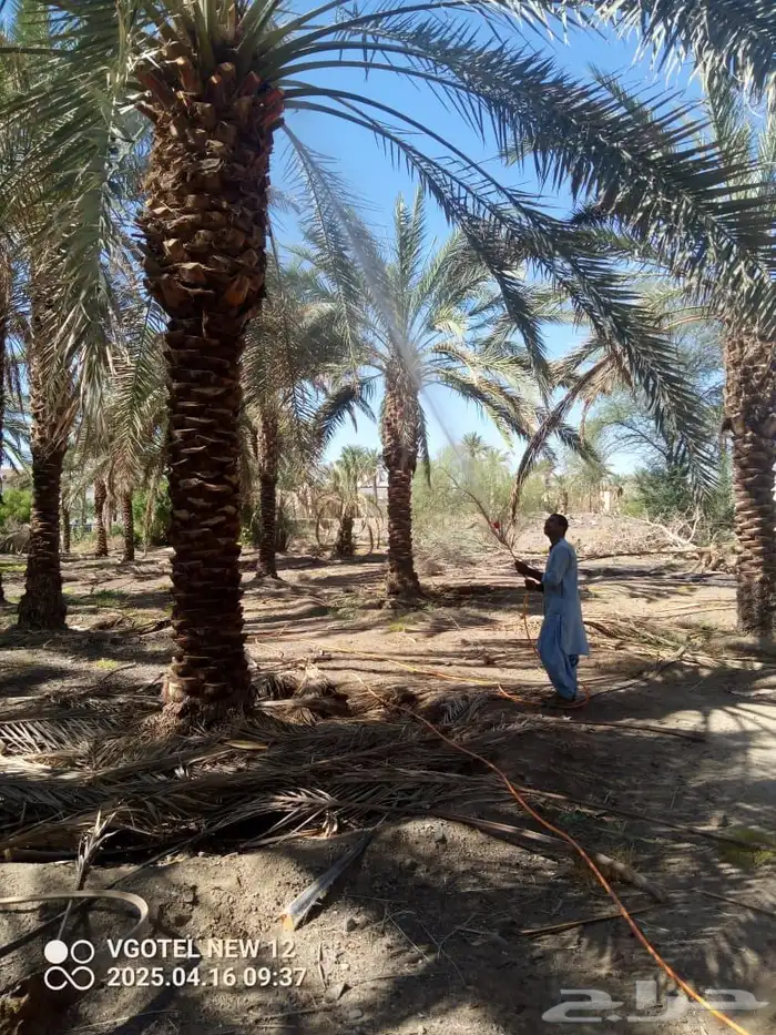 صيانة وتنظيف المزارع 1