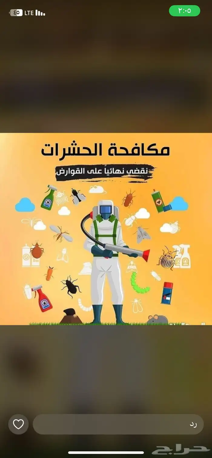 شركه مكافحة حشرات بمكه 0
