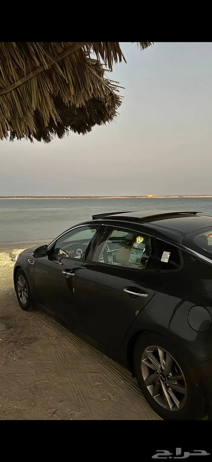 اوبتماء 2017 نص فل 2