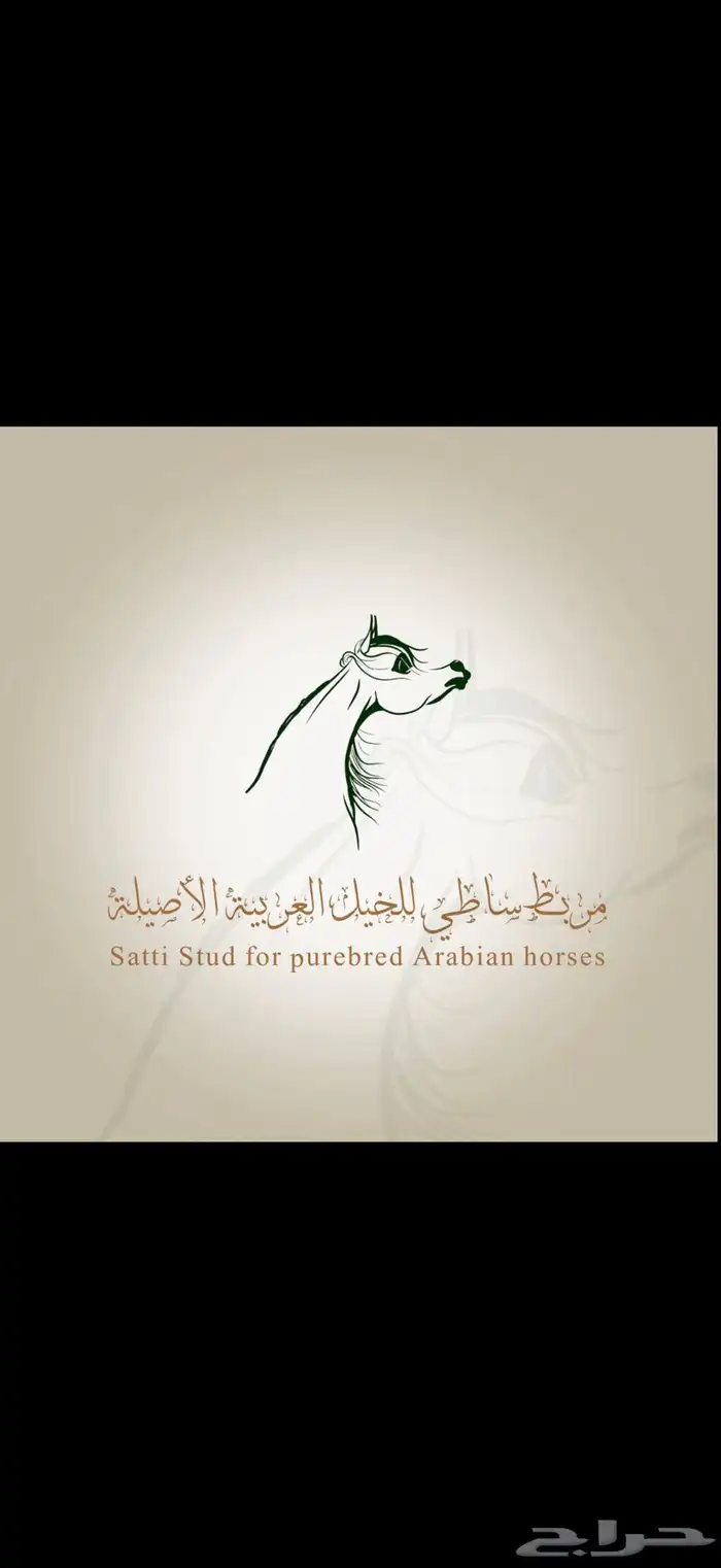متوفر ايواء خيل الرياض ( ديراب ) خلف مركز الملك عبدالعزيز 0