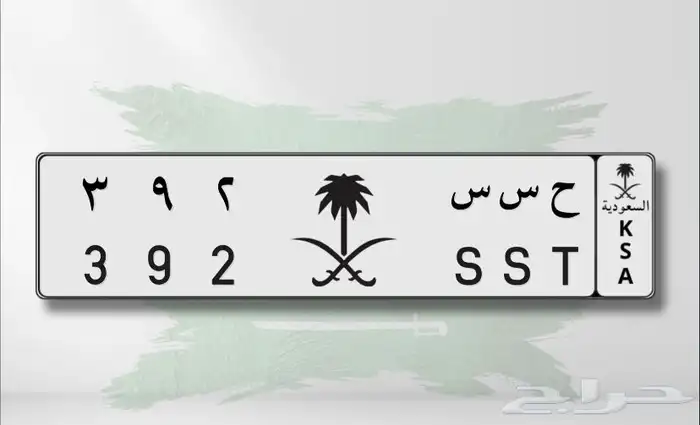 لوحه مميزه ح س س 392 0