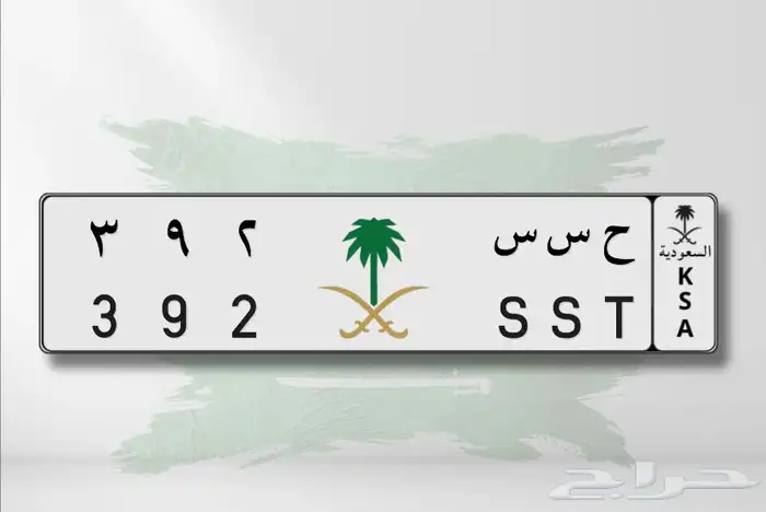لوحه مميزه ح س س 392 1