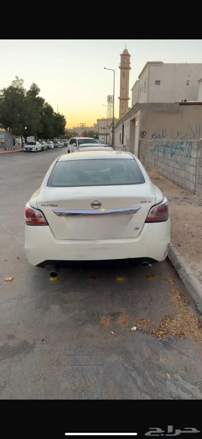 التيما 2016 للبييع 1