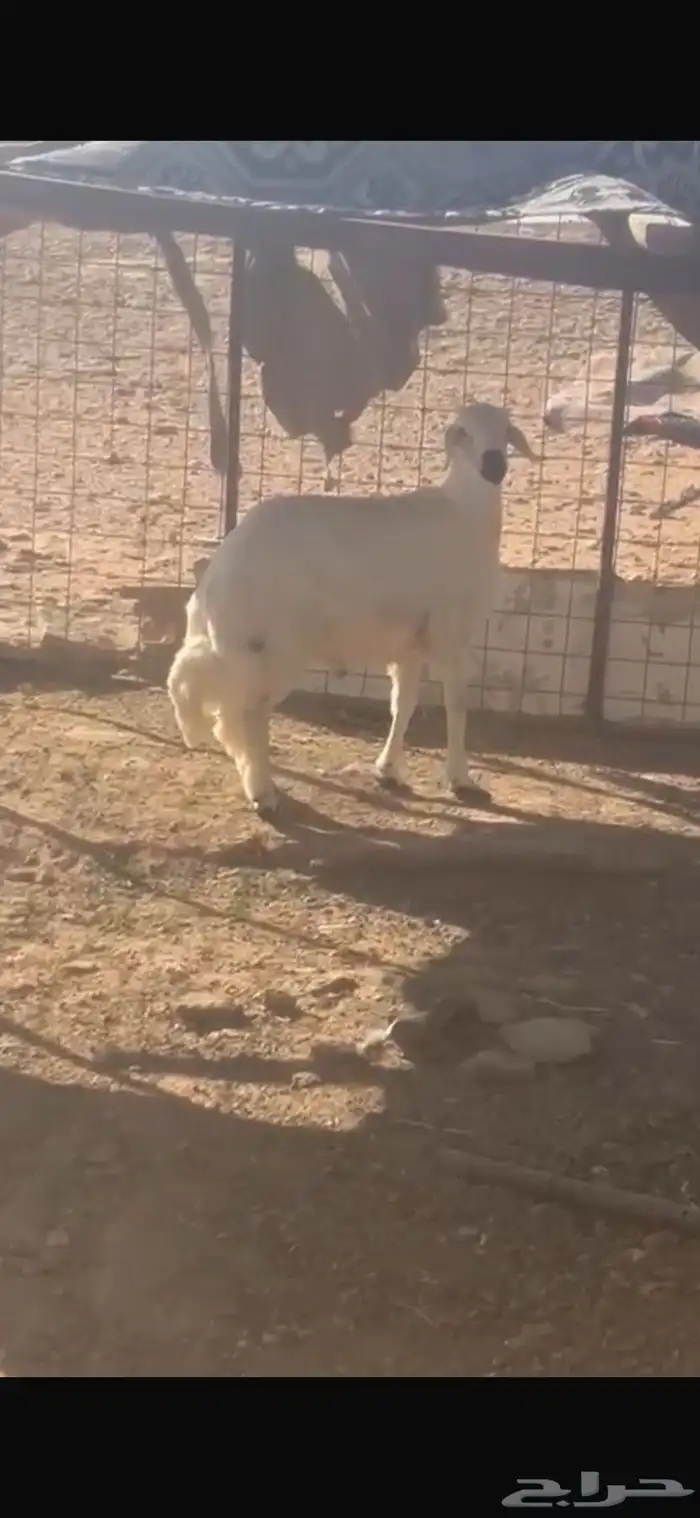 حري مغلق 1