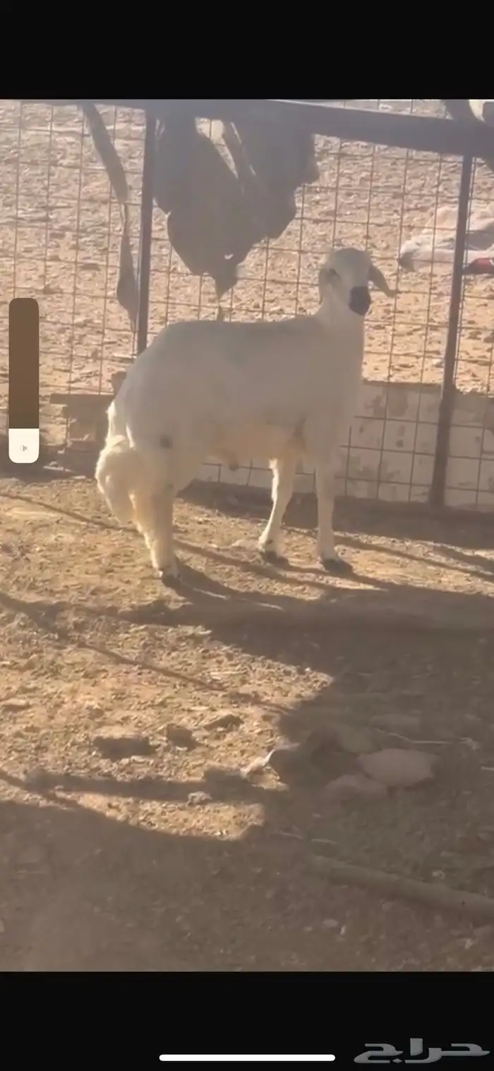 حري مغلق 0