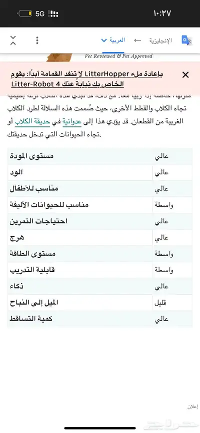 كلب فصيلة كورجي للبيع index