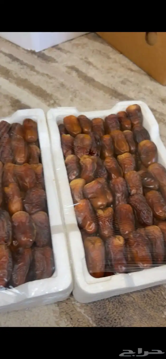 فلين برني العيص ممتاز 1