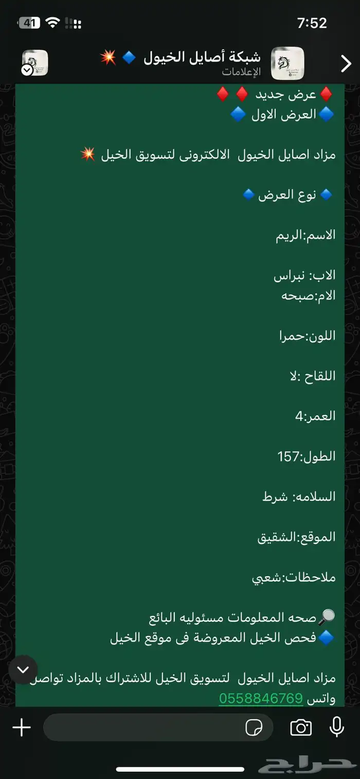 فررس شعبية تنافس الواهو 3