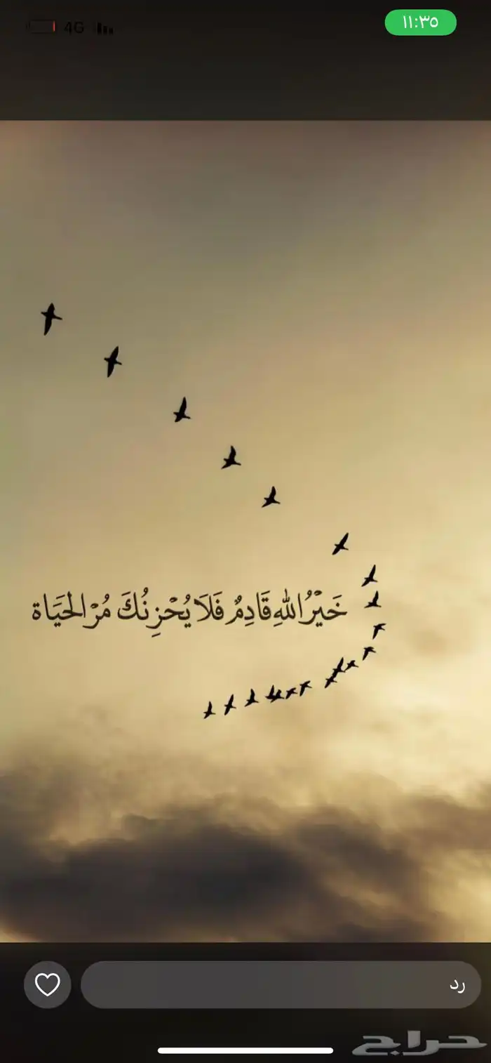 نشتري معدات زراعية 0