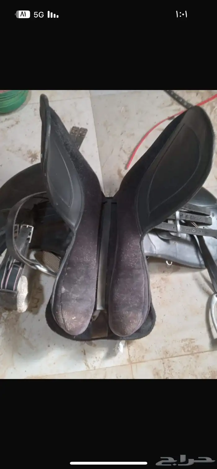 سرج ستيتوس 1
