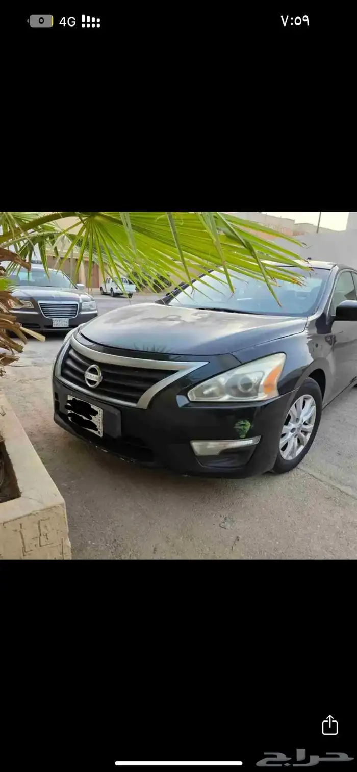 التيما 2014 8