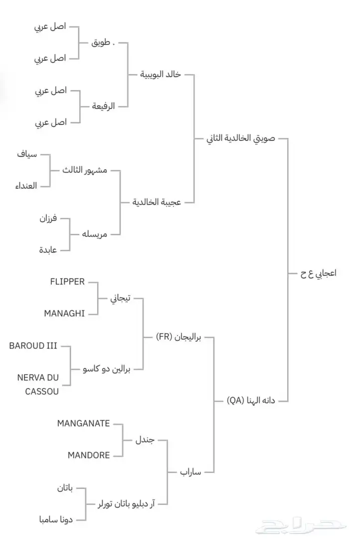 مهر 4