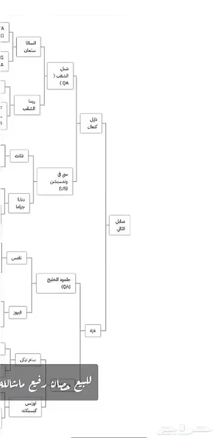 حصان واهو 6