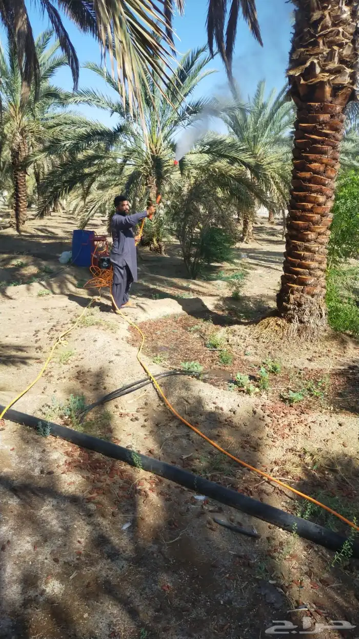 صيانة وتنظيف المزارع 19