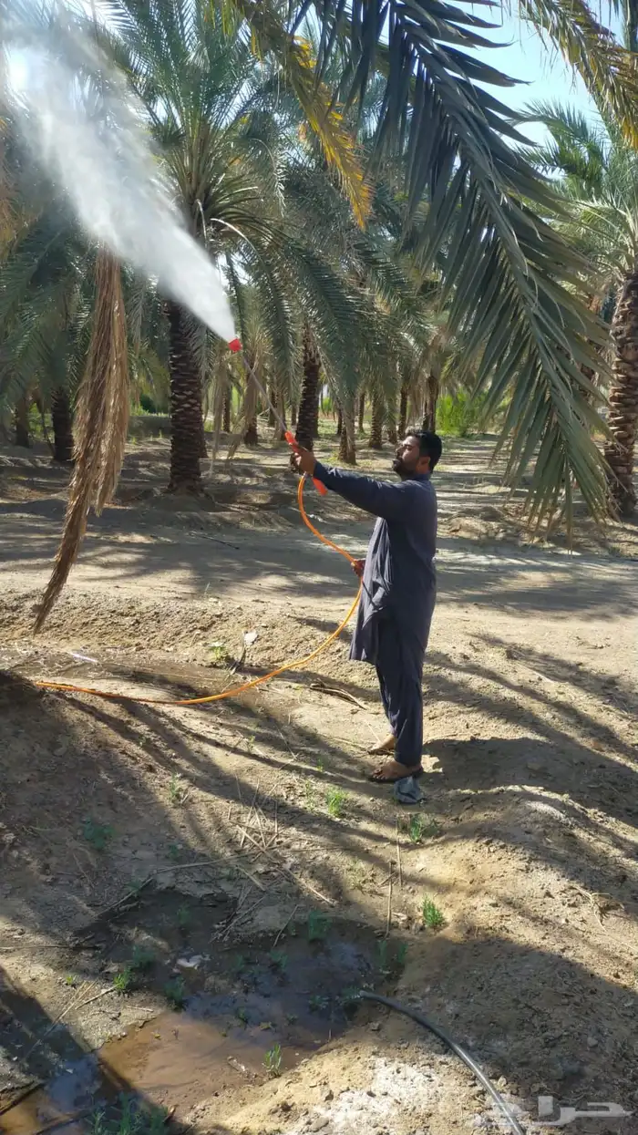 صيانة وتنظيف المزارع 21