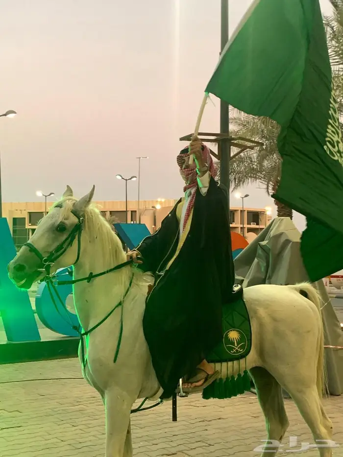 خيل وخياله وأبل ركايب للايجار للمناسبات 4
