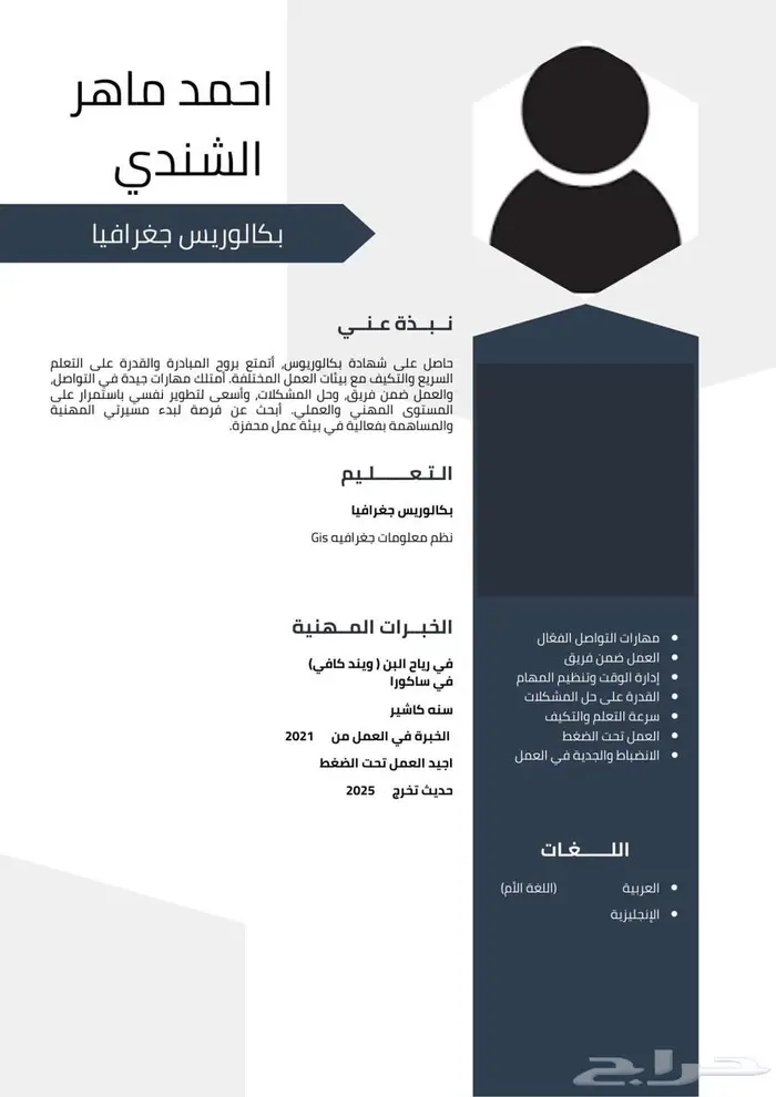خدمة إعداد السيرة الذاتية (CV) باحترافية عالية 8